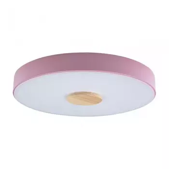 Потолочный светодиодный светильник Axel Loft It 10003/24 Pink