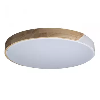 Потолочный светодиодный светильник Axel Loft It 10004/36 White