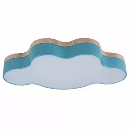 Потолочный светодиодный светильник Axel Loft It 10005/30 Blue