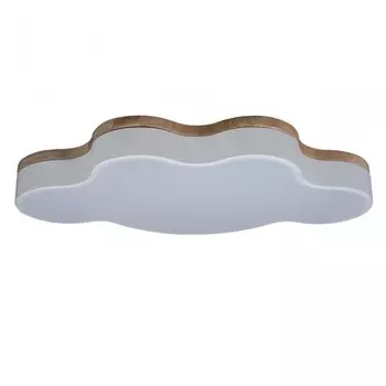 Потолочный светодиодный светильник Axel Loft It 10005/36 White