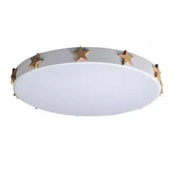 Потолочный светодиодный светильник Axel Loft It 10006/36 White