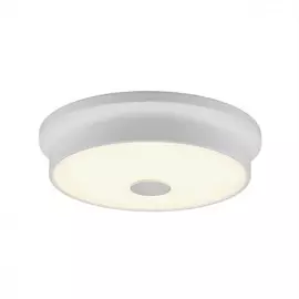 Потолочный светодиодный светильник Citilux Фостер-2 CL706220