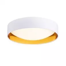 Потолочный светодиодный светильник Evoluce Orbio SLE201122-01