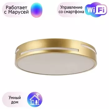 Потолочный светодиодный светильник F-Promo Pall с поддержкой Маруся 2745-1C-М