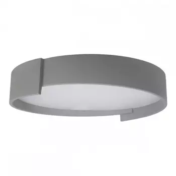Потолочный светодиодный светильник Loft IT Coin 10200 Grey