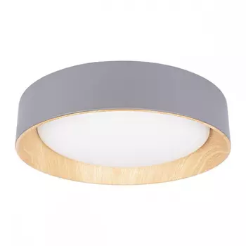 Потолочный светодиодный светильник Loft IT Coin 10202 Grey