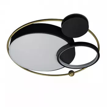 Потолочный светодиодный светильник Loft It Mike 10064