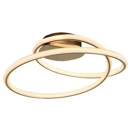 Потолочный светодиодный светильник LOFT (Lussole) INGERSOLL LSP-8346