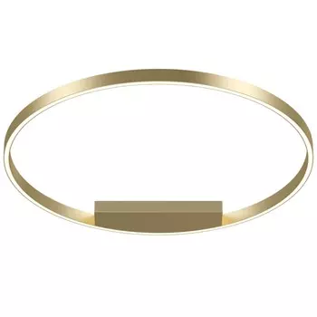 Потолочный светодиодный светильник Maytoni Technical Rim MOD058CL-L50BS4K