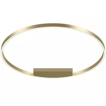 Потолочный светодиодный светильник Maytoni Technical Rim MOD058CL-L65BS4K