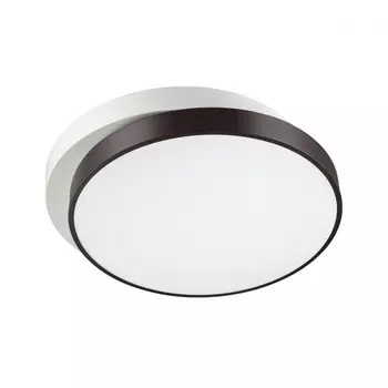 Потолочный светодиодный светильник с пультом ДУ Lumion Agatha 4509/72CL