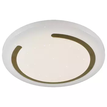 Потолочный светодиодный светильник с пультом ДУ Profit Light 2143/350 WH+CR RGB 100W 3000-6000K