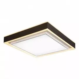 Потолочный светодиодный светильник с пультом ДУ iLedex Summery B6233-117W/520*520 Белый