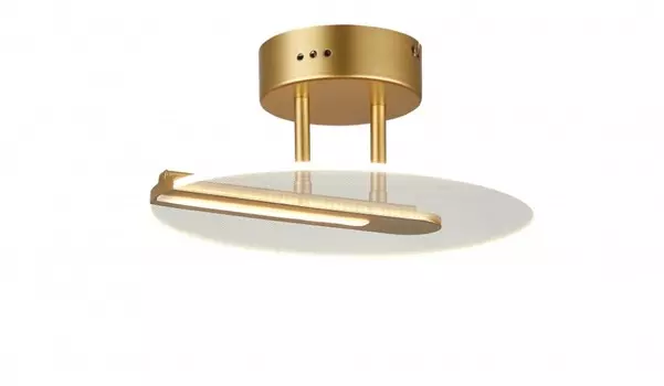 Потолочный светодиодный светильник SIMPLE STORY 1165-LED13CL