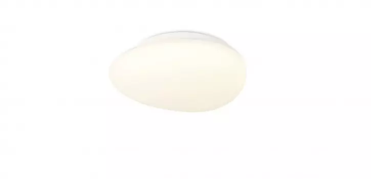 Потолочный светодиодный светильник SIMPLE STORY 1205-LED12CL