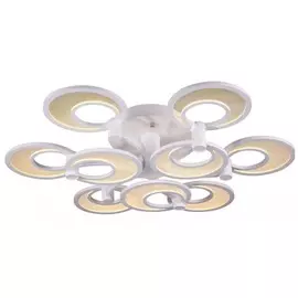Потолочный светодиодный светильник ST Luce Nola SL898.502.09