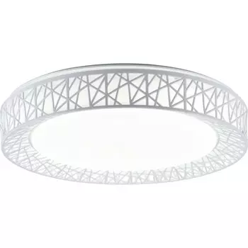 Потолочный светодиодный светильник Toplight Diana TL1204X-72WH