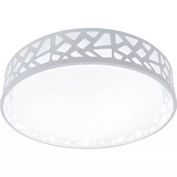 Потолочный светодиодный светильник Toplight Leone TL1205X-72WH