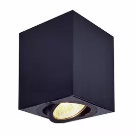 Потолочный точечный накладной поворотный светильник Citilux Дюрен CL538213
