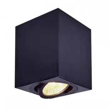 Потолочный точечный накладной поворотный светильник Citilux Дюрен CL538213