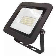 Прожектор ЭРА PRO LPR-061-0-65K-030 30Вт 2800Лм 6500К Б0043590