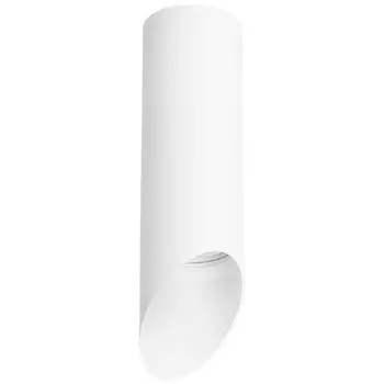 R48636 Накладной точечный светильник Rullo Lightstar (комплект из 214486+201436)