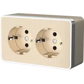 Розетка двойная с заземлением Gallant (шампань рифленый) Werkel W5072110