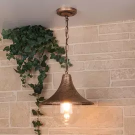 Saga H черное золото (GL 1020H) Уличный подвесной светильник Elektrostandard (a039866)