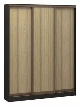 Шкаф-купе Адриано-3 1900x400x2400 мм Баронс 1425