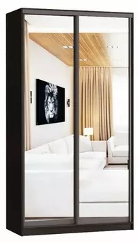 Шкаф-купе Айсберг Смарт А2891494008