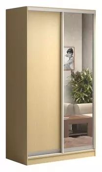 Шкаф-купе Антонио-2 1600x624x2500 мм Баронс 1551