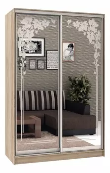 Шкаф-купе Армандо-2 1400x496x2300 мм Баронс 1613