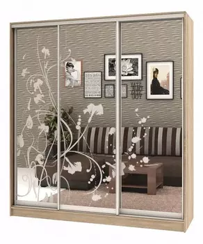 Шкаф-купе Армандо-3 1700x496x2400 мм Баронс 1628