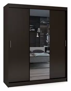 Шкаф-купе Риф-3 Зеркало вариант 2 Баронс 2071