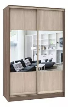 Шкаф-купе Стандарт Комбо 2.1 Баронс 959