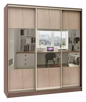 Шкаф-купе Стандарт Комбо 3.1 Баронс 1054