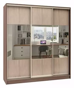 Шкаф-купе Стандарт Комбо 3.1 Баронс 1073