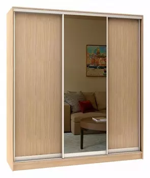 Шкаф-купе Стандарт Комбо 3.2 Баронс 1091