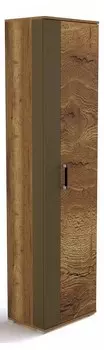 Шкаф платяной Ханна ПХ-1 СБК 50301