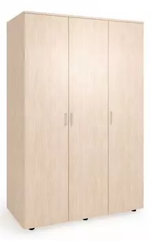 Шкаф платяной Оптима-3 Баронс 909