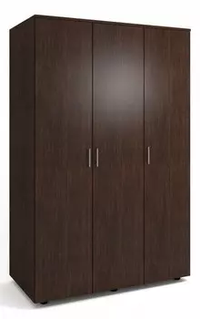 Шкаф платяной Оптима-3 Баронс 909