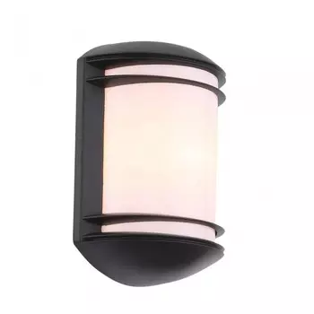 SL076.401.01 Светильник уличный настенный ST-Luce AGIO