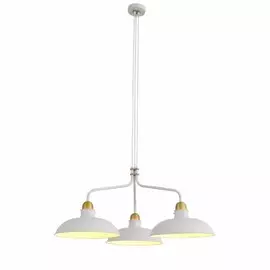 SL323.503.03 Подвесная люстра ST Luce Pietanza