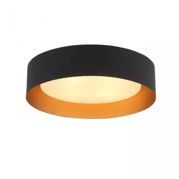 SL392.422.04 Светильник потолочный ST-Luce CHIO