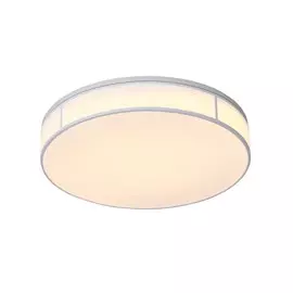 SL417.502.01 Потолочный светодиодный светильник ST-Luce FELLA