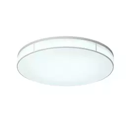 SL417.512.01 Потолочный светодиодный светильник ST-Luce FELLA