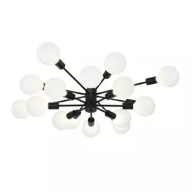 Потолочная люстра Evoluce Ano SL419.402.16