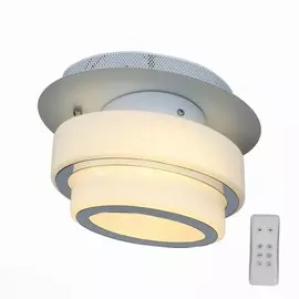 SL546.501.01 Светильник настенно-потолочный ST-Luce OVALE