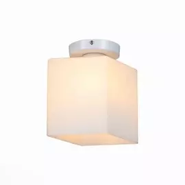 SL548.501.01 Светильник настенно-потолочный ST-Luce ASPETTO