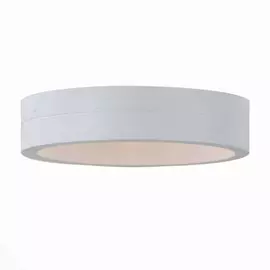 SL562.501.01 Уличный настенный светодиодный светильник ST Luce